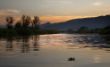 _MG_8085.jpg